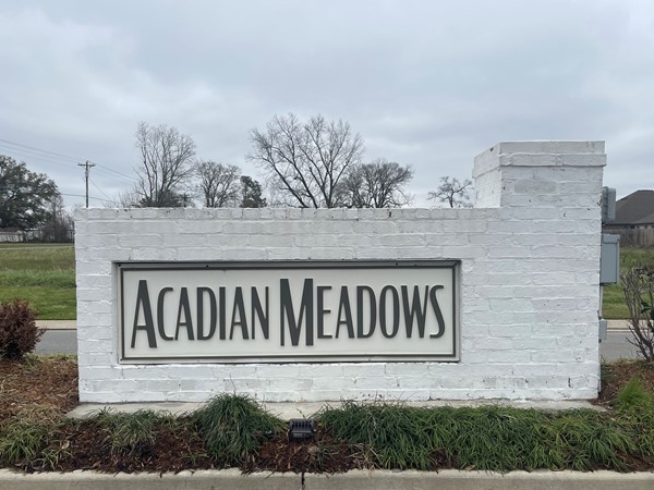 Acadian Meadows from $200’s!!!