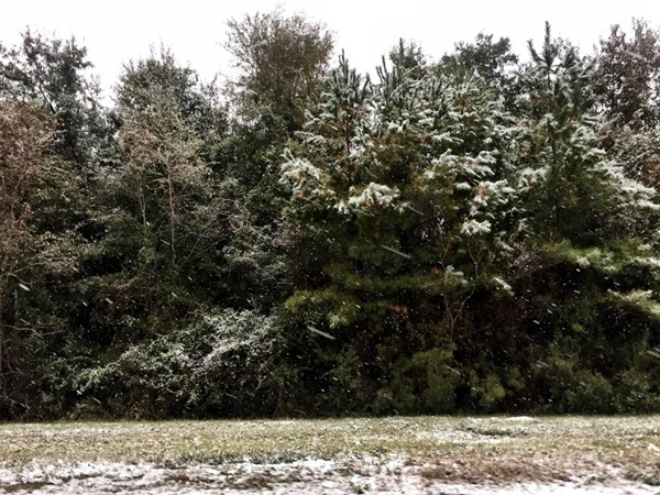 Snow in Coastal Mississippi - a rare event