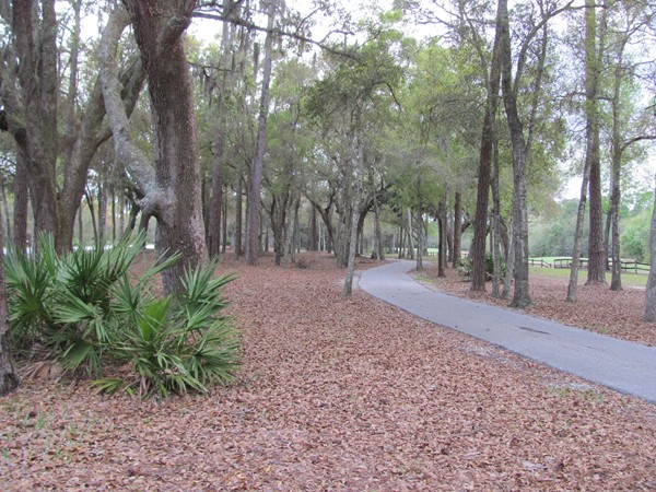 My wife and I enjoy the walking/biking path that extends from The Peninsula to Orange Beach