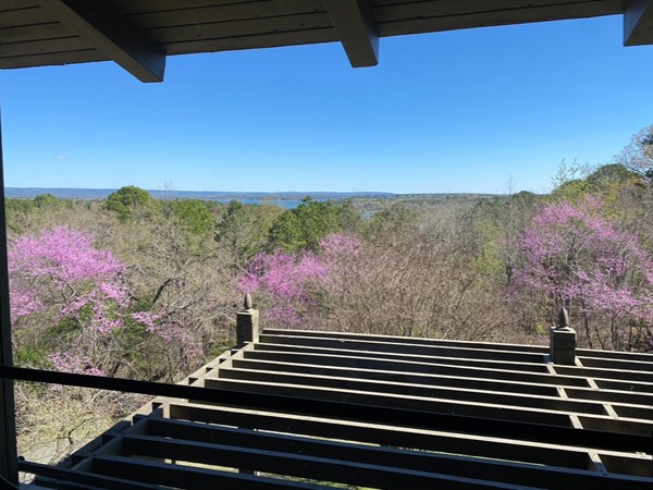 Eden Isle dining at The Red Apple Inn -enjoy a beautiful view