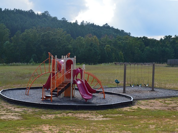 Legacy Springs playground
