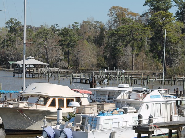 The Yacht Club is one of the hidden gems that the Lake Forest subdivision has to offer