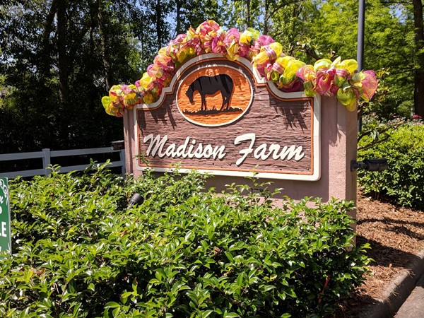 Welcome to Madison Farms
