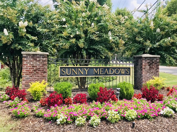 Sunny Meadows is one of Shelby County's best kept secrets