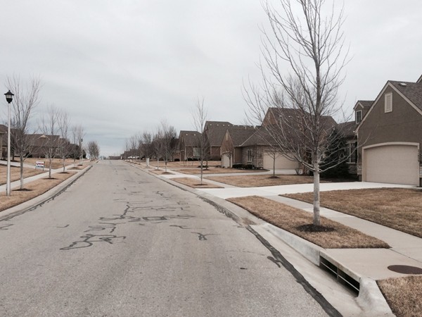 Streetview of Foxfield Court from subdivision entrance