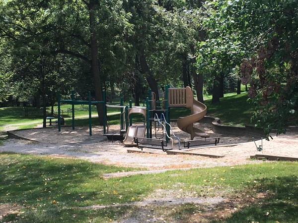 Great playground in Chapel Hill Park