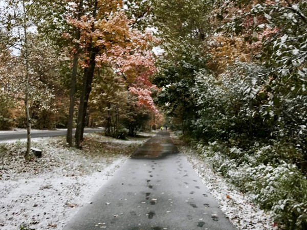 Fall colors meet winter white on Marquette’s paved bike path