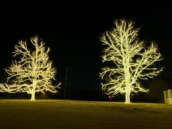 Wow! Look at the Christmas lights in Nichols Hills