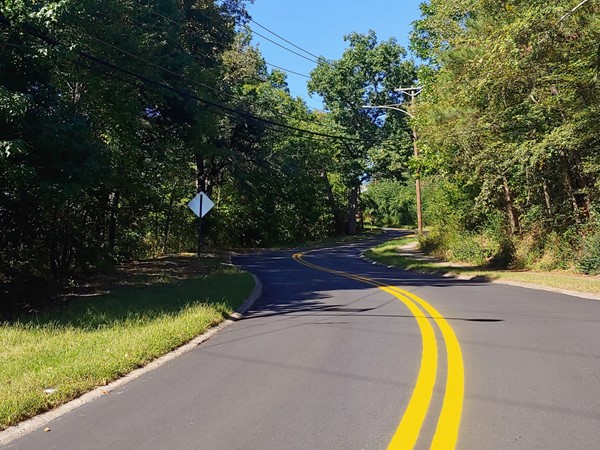 The famous "Snake Hill" (Avondale Rd) between Lakeview and East H St. in Park Hill
