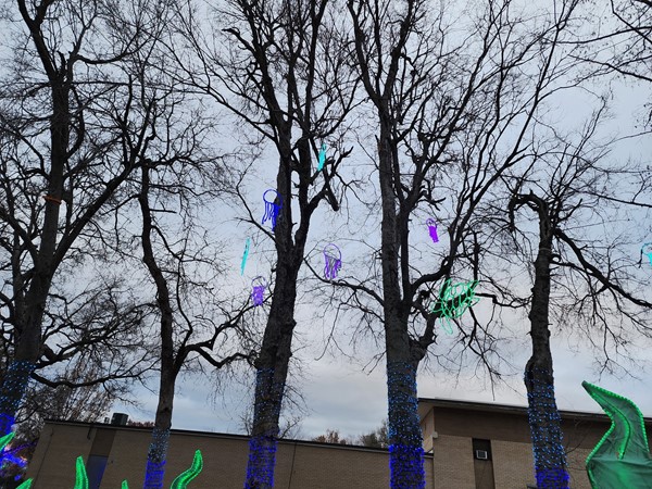 Holiday display at the Topeka Zoo