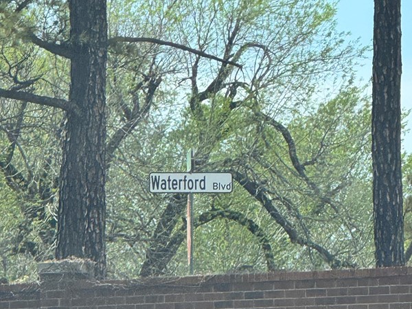 Beautiful trees and landscaping at The Waterford 