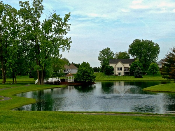 Lohr Lake - A beautiful setting in the center of the neighborhood, backing up to many of the homes