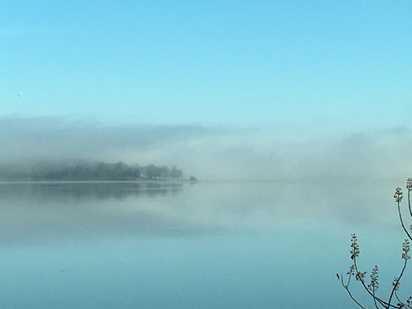 A foggy morning on Lake Dardanelle 