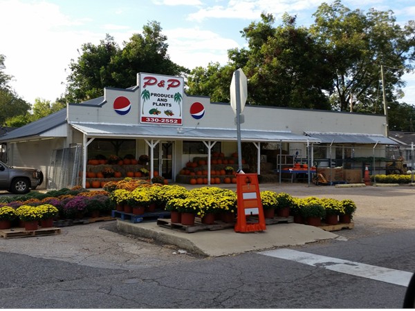 Visit P & P in Northport for all of your produce and plant needs!