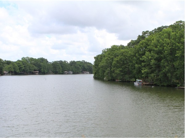 The River Oaks subdivision is nestled along the Bayou DeSiard