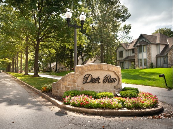 Who wouldn't want to come home to this? Park like setting with upscale homes
