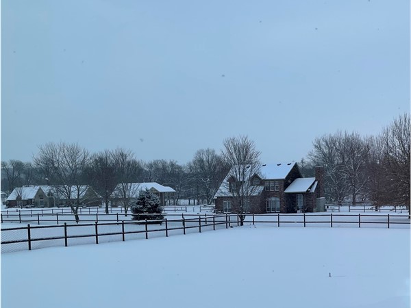 Picture of the snow in Will Acres