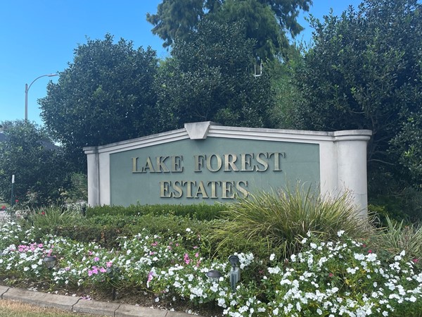 Lake Forest Estates is a beautiful community! I grew up here & it has a special place in my heart 