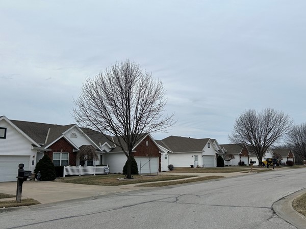 Looking for a maintenance provided neighborhood in Platte City? 