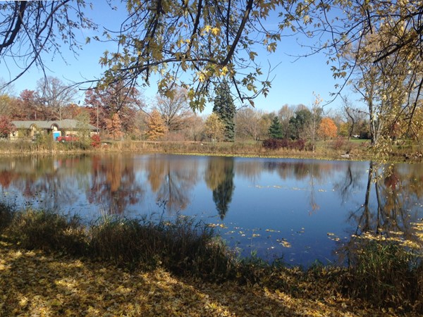 View of pond at entrance to Valhulla Park. This park is a great addition to the Holt community