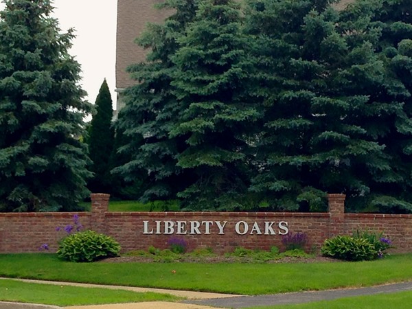 Liberty Oaks offers elegant condos just off of Liberty Street