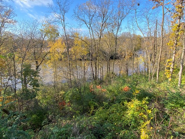 Flint River in the fall
