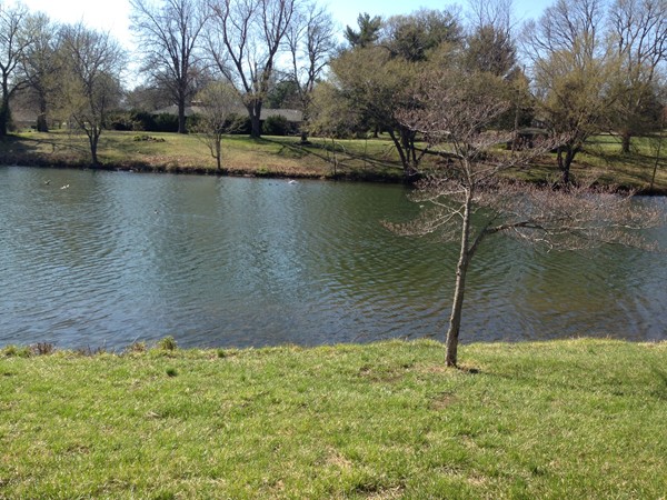 Southern Hills Lake, one of two!