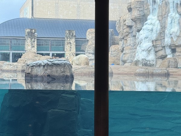 No matter the season, it's always a great day at the Kansas City Zoo!