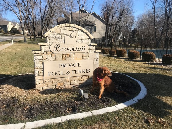Diego visits Brookhill subdivision