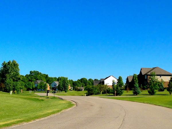 A community surrounded by trees and scattered with large, unique lots