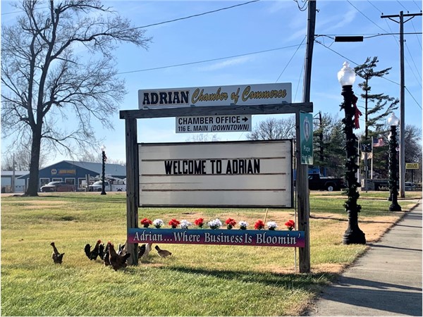Adrian, where business is blooming and chickens are roaming 