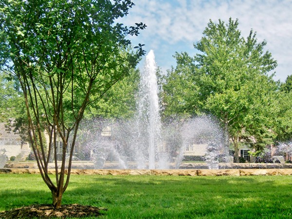 Fountain on Overbrook in Hallbrook Subdivision