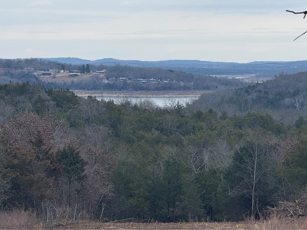 View of Bull Shoals Lake from your back porch! 