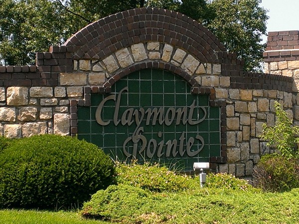 Beautiful villas at Claymont Pointe