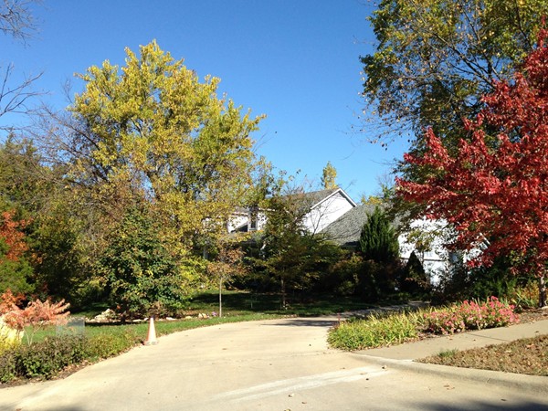 Homes nestled in trees and landscaping in Lawrence