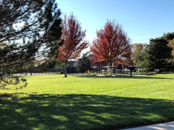 Playground and mini-park inside Austin Meadows