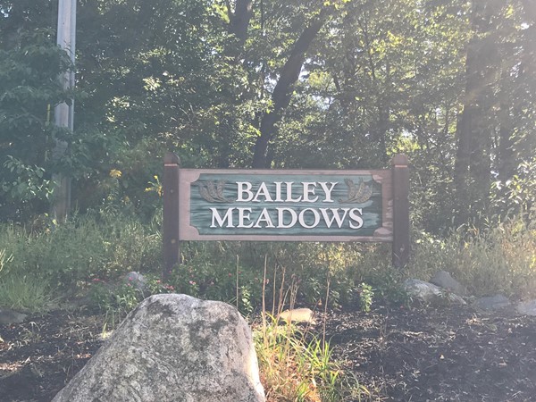 Welcome to Bailey Meadows
