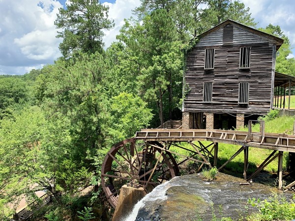Cotton and Old Grist Mill at Dunn’s Falls