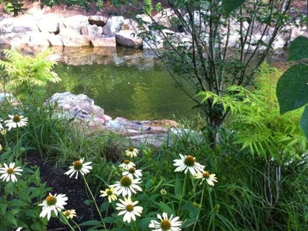 The trails at Crystal Bridges have many places to pause and reflect! Peaceful