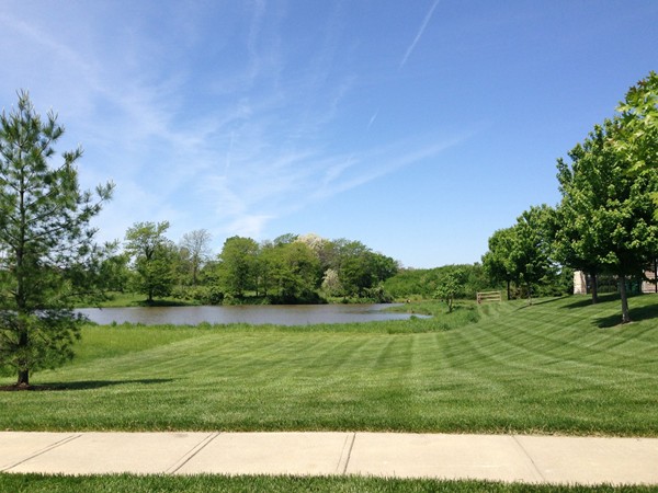 Beautiful water views in Staley Hills