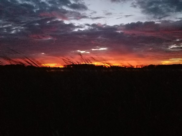 Sunrise over Big Marsh 