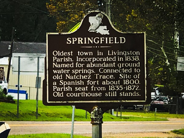 Springfield has small town charm 