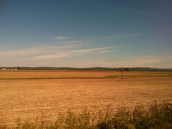 Gorgeous view of fields while riding Amtrak between the Jefferson City and Hermann stations