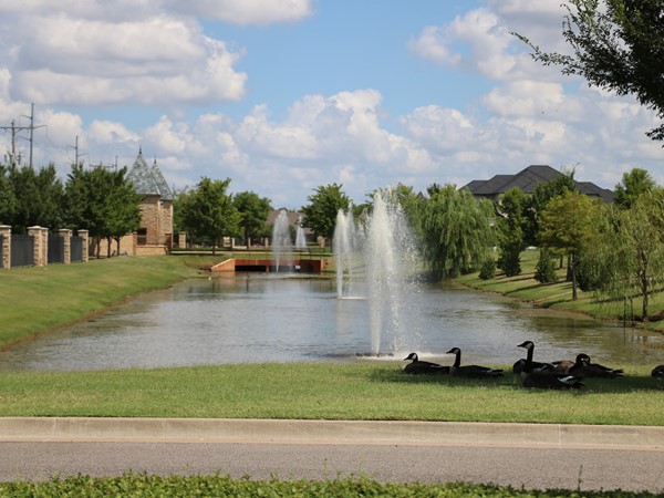 Beautiful pond with fountains as soon you enter this amazing neighborhood 
