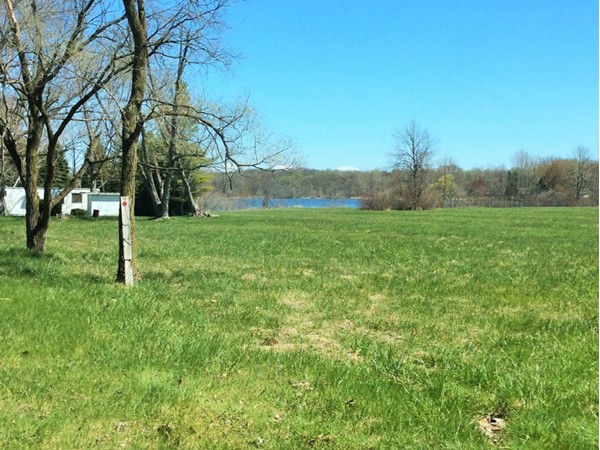Meadow view of Pipestone Lake