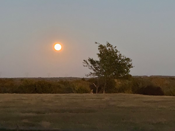 Make sure you catch the Hunters moon tonight!