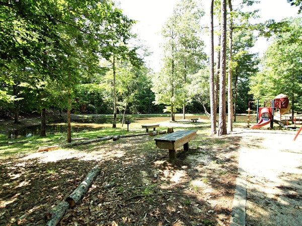 Another small lake is located near the playground in the North Ridge section