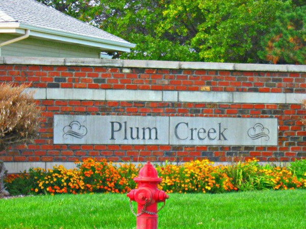 Plum Creek 