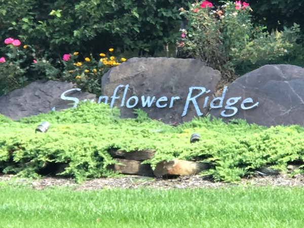 Welcome to Sunflower Ridge