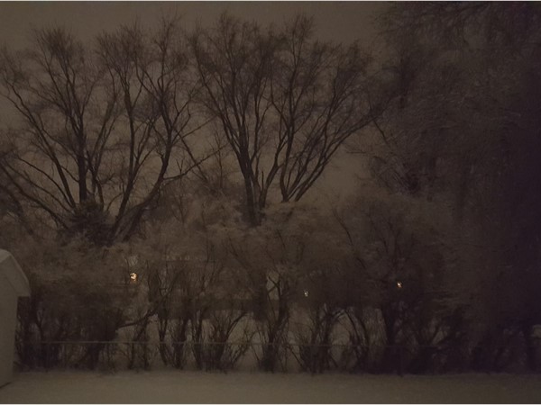 Snowy evening in the Cedar Valley